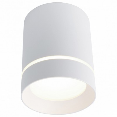 Накладной светильник Arte Lamp Elle A1909PL-1WH