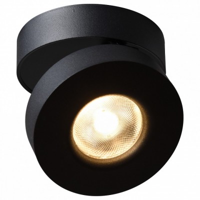 Накладной светильник Arte Lamp 2511 A2511PL-1BK