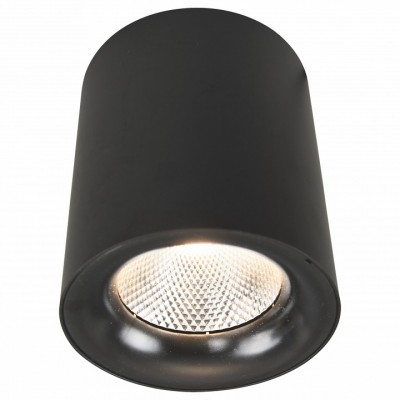 Накладной светильник Arte Lamp Facile A5118PL-1BK