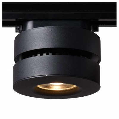 Накладной светильник Arte Lamp 2508 A2508PL-1BK