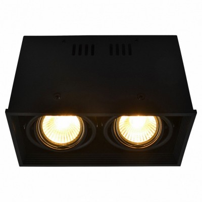Накладной светильник Arte Lamp Cardani A5942PL-2BK
